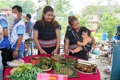 Các món ẩm thực của đoàn Gia Lai. (Ảnh: Khoa Chương/TTXVN)