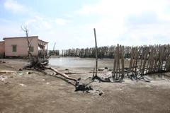 Sạt lở nghiêm trọng làm hư hỏng nhà của người dân ở khu vực Cồn Ngoài, Cồn Nhàn, xã Bảo Thuận, huyên Ba Tri. (Ảnh: Công Trí/TTXVN)