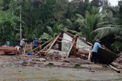 Ảnh minh họa. (Nguồn: TTXVN phát)