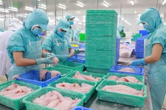 Chế biến cá tra xuất khẩu. (Ảnh: Vũ Sinh/TTXVN)