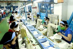 Công nhân làm việc tại Công ty Cổ phần giày Vĩnh Yên, Vĩnh Phúc. (Ảnh: Hoàng Hùng/TTXVN)