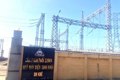 Nhà máy điện sinh khối An Khê. (Nguồn: sggp.org.vn)