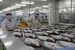 Chế biến cá da trơn xuất khẩu ở Công ty Cổ phần Gò Đàng, Khu Công nghiệp Mỹ Tho, Tiền Giang. (Ảnh: Minh Trí/TTXVN)