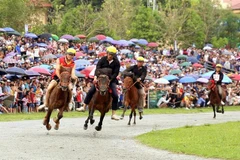 Các nài ngựa tranh tài trên đường đua. (Ảnh: Quốc Khánh/TTXVN)