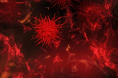 Hình minh họa vẽ 3D của virus đậu mùa khỉ. (Nguồn: newsinfo.inquirer.net)