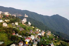 Một góc khu du lịch quốc gia Tam Đảo Vĩnh Phúc. (Ảnh tư liệu: Hoàng Hùng/TTXVN)