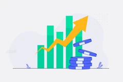 Ảnh minh họa. (Nguồn: timo.vn)