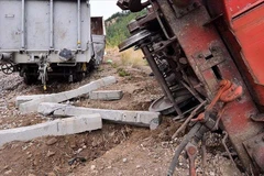 Ảnh minh họa. (Nguồn: aa.com.tr)