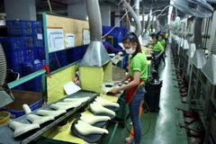 Dây chuyền sản xuất yên xe đạp xuất khẩu tại Công ty Pro Active Global Việt Nam, vốn đầu tư của Đài Loan (Trung Quốc) tại Khu công nghiệp Đại Năng, Bình Dương. (Ảnh: Danh Lam/TTXVN)