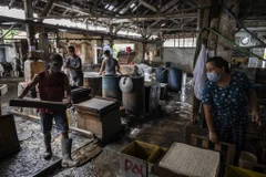 Các nhân viên làm đậu phụ tại một nhà máy nhỏ ở Surabaya. (Nguồn: AFP)