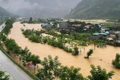 Ngập lụt tại Điện Biên. (Nguồn: baophapluat.vn)