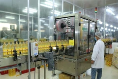 Sản xuất dầu ăn cao cấp (Ranee) tại Nhà máy tinh luyện mỡ cá thành dầu ăn, công suất 200 tấn/ngày của Công ty Cổ phần Dầu cá Châu Á (Sao Mai AFO), thuộc Sao Mai Group. (Ảnh: Vũ Sinh/TTXVN)