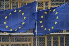 Ảnh minh họa. (Nguồn: energynews.biz)