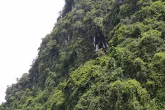 Chùa nằm trong hang ở lưng chừng núi Thâm Then, vùng bán ngập hồ Thác Bà. (Ảnh: Đức Tưởng/TTXVN)