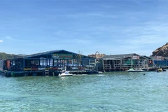 Tại khu vực đảo Hòn Khô Lớn có tám nhà hàng bè nổi hoạt động tự phát. (Ảnh: Tường Quân/TTXVN)