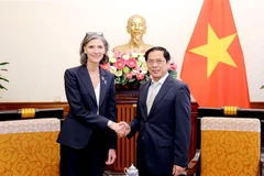 Bộ trưởng Ngoại giao Bùi Thanh Sơn tiếp bà Ramla Al Khalidi, Đại diện thường trú của Chương trình Phát triển Liên hợp quốc (UNDP). (Ảnh: TTXVN)