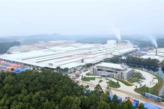 (Ảnh minh họa: Nguyễn Thảo/TTXVN)