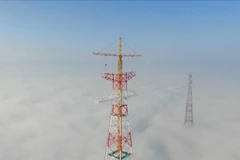 (Nguồn: news.cgtn.com)