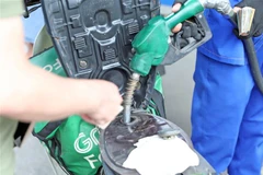 Mua bán xăng, dầu tại điểm kinh doanh xăng dầu Petrolimex. (Ảnh: Trần Việt/TTXVN)