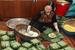 (Ảnh: Lâm Khánh/TTXVN)