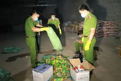 Lực lượng công an thu giữ các loại sản phẩm thuốc bảo vệ thực vật bị cấm sử dụng. (Ảnh: TTXVN phát)