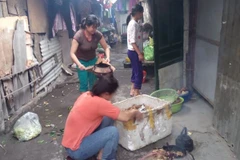 Những mái nhà tạm bợ của người lao động. (Ảnh: Vietnam+)