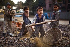 (Nguồn: Pinterest)