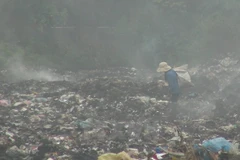 Ảnh minh họa. (Nguồn: TTXVN)