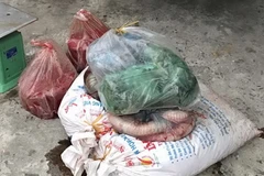 Tang vật một vụ vận chuyển nội tạng động vật không đảm bảo. (Nguồn: TTXVN)