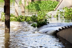 Đập Tha La xả lũ, cung cấp phù sa, góp phần tháo chua, rửa mặn cho đồng ruộng vùng Đồng Tháp Mười. (Ảnh: Công Mạo/TTXVN)