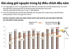 [Infographics] Giá xăng giữ nguyên trong kỳ điều chỉnh đầu năm