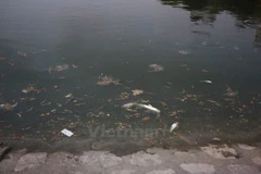 (Ảnh: Minh Sơn/Vietnam+)