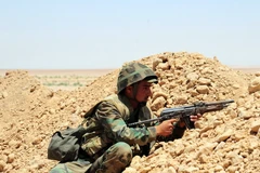 Binh sỹ Syria. (Nguồn: EPA/TTXVN)