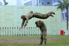 (Ảnh: An Đăng/TTXVN)