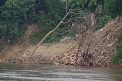 Ảnh minh họa. (Nguồn: TTXVN)