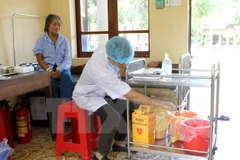 Ảnh minh họa. (Nguồn: TTXVN)