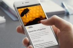 (Nguồn: Business Insider)