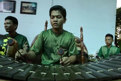 Biểu diễn nhạc cụ dân tộc các tỉnh miền Tây Nam Bộ tại Festival đờn ca tài tử quốc gia lần thứ nhất. (Ảnh: Duy Khương/TTXVN)