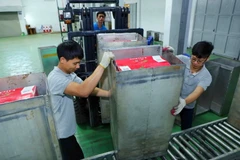 Sau khi đóng thùng tại cơ sở thu mua, các thùng vải sẽ được đưa tới Trung tâm Chiếu xạ Hà Nội​ để tiến hành chiếu xạ, đảm bảo kéo dài thời gian bảo quản, trước khi được kiểm dịch và xuất khẩu. (Ảnh: Thành Đạt/TTXVN)