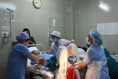 Ảnh minh họa. (Nguồn: TTXVN)