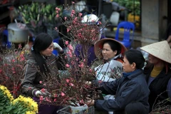 Ảnh minh họa. (Nguồn: TTXVN)