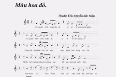 Bài hát 'Màu hoa đỏ'