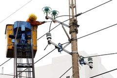 Ảnh minh họa. (Nguồn: TTXVN)