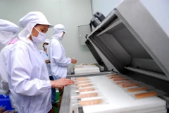 Công nhân tại Khu công nghiệp tỉnh Thái Bình. (Nguồn: TTXVN)