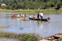 Ảnh minh họa. (Nguồn: TTXVN)