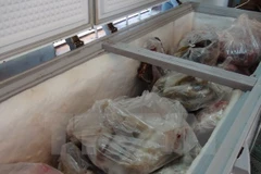 Ảnh minh họa. (Nguồn: TTXVN)