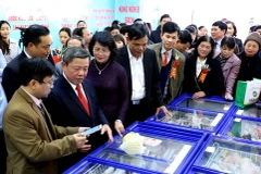 Phó Chủ tịch nước Đặng Thị Ngọc Thịnh cùng các đại biểu tham quan các gian hàng nông sản thực phẩm an toàn. (Ảnh: Hoàng Hùng/TTXVN)