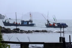 Binh sỹ và nhân viên cứu hộ tìm kiếm người mất tích sau vụ rơi máy bay quân sự tại Laung Lone, Dawei, Myanmar ngày 9/6. (Nguồn: EPA/TTXVN)