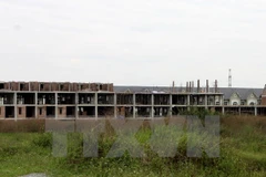 Ảnh minh họa. (Nguồn: TTXVN)