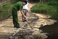  Lực lượng chức năng kiểm tra hiện tượng cá chết bất thường. (Ảnh: Trịnh Duy Hưng/TTXVN)